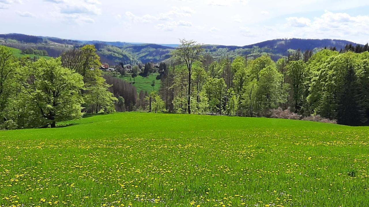 Harz-Huette - Schnuckelig Fewo In St. Andreasberg Sankt Andreasberg Exterior foto